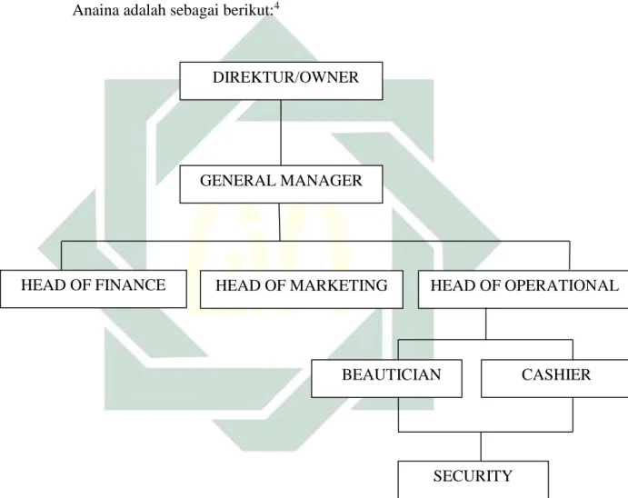 Gambar 3.1. Struktur Organisasi Klinik Kecantikan Anaina. 
