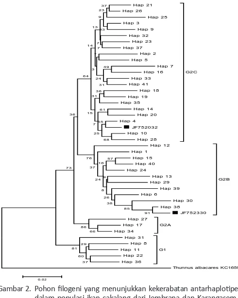 Gambar 2.  Pohon ilogeni yang menunjukkan kekerabatan antarhaploipe dalam populasi ikan cakalang dari Jembrana dan Karangasem, Bali, dengan metode Neighbor Joining dan model Kimura 2-pa-rameter