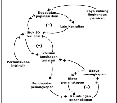 Diagram  lingkar  sebab  akibat  (Gambar  2)  menunjukkan  bahwa  volume  tangkapan  teri  nasi  dipengaruhi  oleh  dinamika  stok  sumberdaya  (SD)  teri  nasi  dan  upaya  penangkapannya