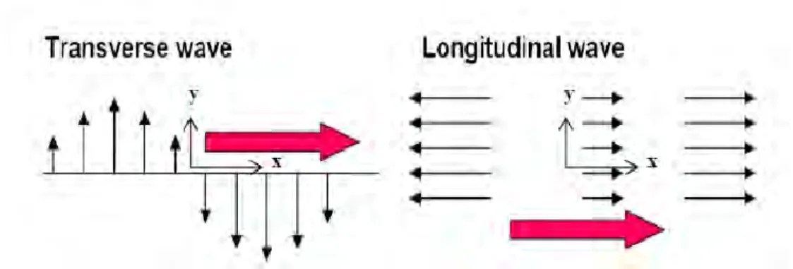 Gambar 2.1 Transverse dan Longitudinal Waves (Sejin Han. 2007) 