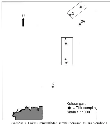 Gambar 3. Lokasi Pengambilan sampel perairan Muara Gembong 