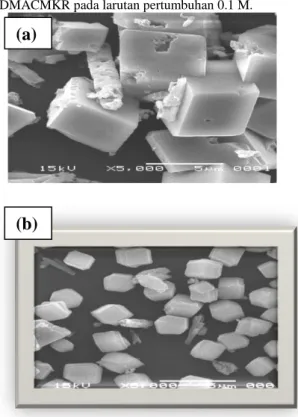 Gambar 8.  Distribusi ukuran partikel kristal CaCO3 pada tanpa penambahan dan  dengan  penambahan  75  ppm  TDMACMKR  pada  konsentrasi  larutan  pertumbuhan 0,1 M