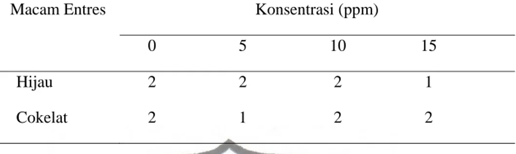 Tabel 4. Rata-rata jumlah payung daun pada 120 HST  Macam Entres                                 Konsentrasi (ppm) 