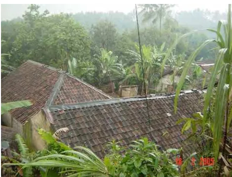 Gambar 6. kondisi rumah masyarakat Desa Bojong Murni yang padat Kondisi : pagi hari, cerah
