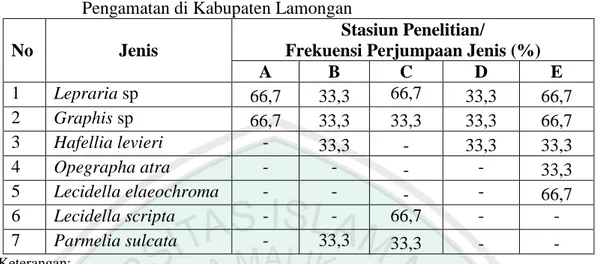 Tabel  4.2  Frekuensi  Perjumpaan  Jenis  Lichenes  Pada  Masing-masing  Stasiun  Pengamatan di Kabupaten Lamongan 