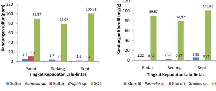 Gambar 3  Kandungan  Sulfur  dan  SO 2   Udara  Ambient  Lichen  Parmelia  sp  dan  Graphis  sp  (A)  serta  Kandungan  Klorofil dan SO 2  Udara Ambient Lichen Parmelia sp dan Graphis sp (B) 