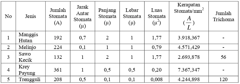Tabel 9. Rata-Rata Jumlah Stomata, Ukuran Stomata, Kerapatan Stomata dan                Jumlah Trichoma 