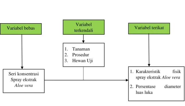 Gambar 2.2 Kerangka Konsep 
