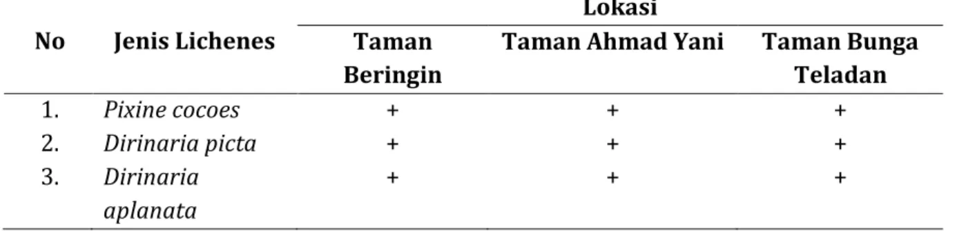 Tabel 1. Keanekaragaman Lichenes di Ketiga Taman Kota Medan  No  Jenis Lichenes 