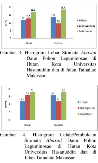 Gambar  4.  Histogram  Celah/Pembukaan  Stomata  Abaxial  Daun  Pohon  Leguminosae  di  Hutan  Kota  Universitas  Hasanuddin  dan  di  Jalan Tamalate Makassar 
