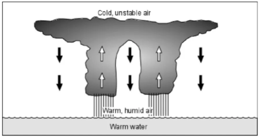 Gambar 3. Warm Water 