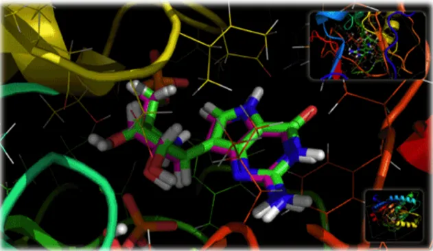 Gambar  2.  Contoh  hasil  validasi  ligan-protein:  1BZY,  hijau=ligan  hasil  kristalografi  dan  merah  muda=ligan hasil molecular docking dengan Dock6 (HA_RMSD = 0.20217, RMSD = 0.067)