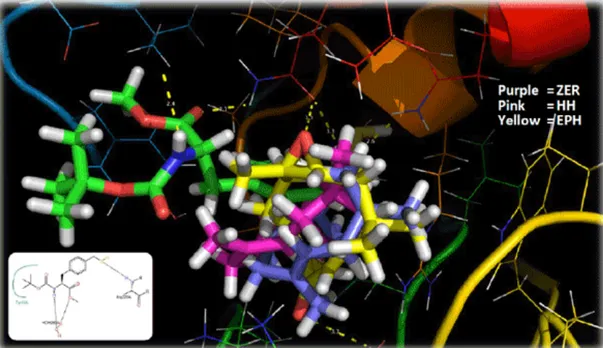 Gambar 8. Konformasi 3D interaksi antara ligan ZER, HH dan EPH dengan protein 3D9C.  	
  