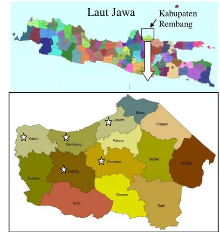 Gambar 2  Peta Kabupaten Rembang, (     ) lokasi pengambilan contoh. 