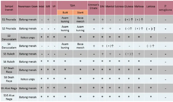 Tabel 2. Hasil identifikasi bakteri Gram negatif basil  