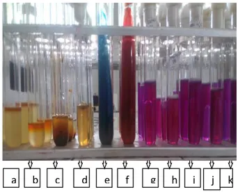 Gambar 3. Uji IMVIC dan uji biokimia Pseudomonas sp. a) uji Indol, b) uji MR, c) uji VP, d) Sulfid Indol Motility,  e) uji Simmon’s Citrat, f) Triple Sugar Iron Agar, g) laktosa, h) glukosa, i) sukrosa, j) maltosa, k) manitol 