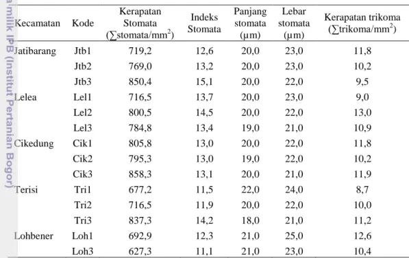 Tabel 3  Anatomi sayatan paradermal daun mangga cengkir di Kabupaten Indramayu. 