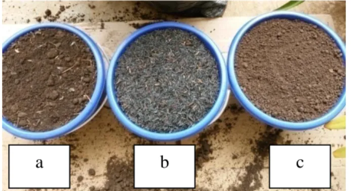 Gambar 3.  Media tanam yang digunakan: (a) pupuk kandang, (b) arang      sekam, dan (c) tanah