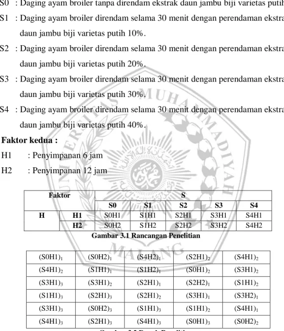 Gambar 3.1 Rancangan Penelitian 