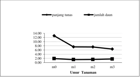 Gambar 2. Grafik  hubungan  kombinasi media terhadap panjang tunas tanaman lada  dan jumlah  daun pada umur 49 HST