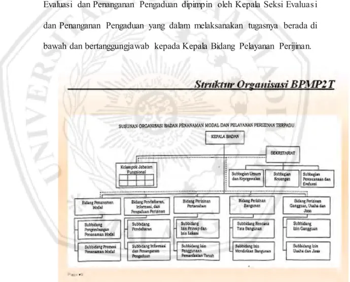 Gambar  3.1  Struktur  Organisasi Badan Penanaman  Modal,  Tenaga Kerja  Dan Pelayanan  Terpadu  Satu Pintu 