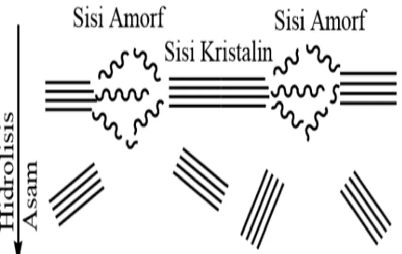 Gambar 2.2 Hidrolisis asam dapat menghilangkan bagian amorf dari  selulosa (Effendi, dkk., 2015) 
