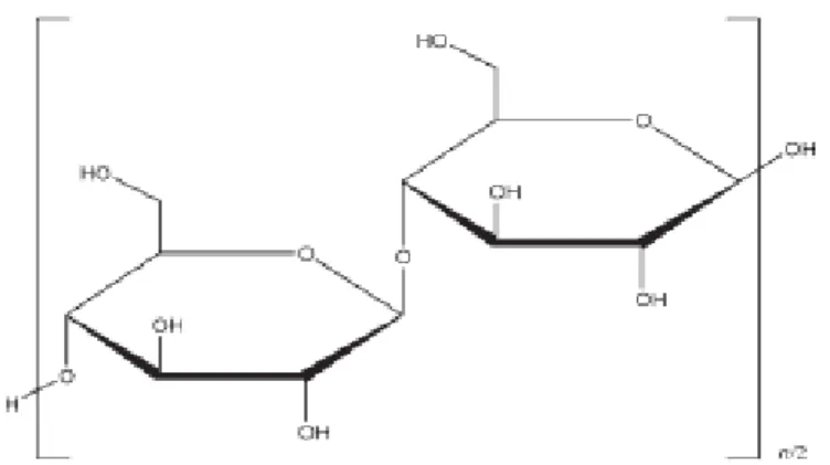 Gambar 2.4Struktur kimia Selulosa Mikrokristal (Rowe, dkk., 2009). 