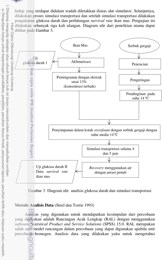 Gambar 3  Diagram alir  analisis glukosa darah dan simulasi transportasi 