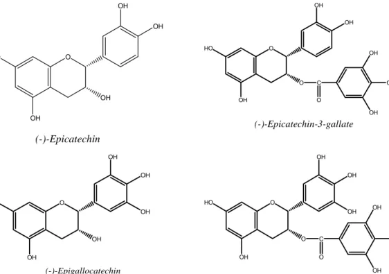 Gambar 1. Struktur epicatechin, epicatechin-3-gallat, epigallocatechin, dan  epigallocatechin-3-gallat (Svobodova et al., 2003) 