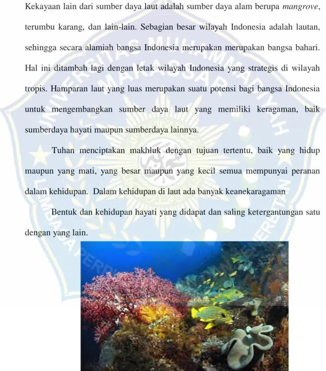 Gambar 2.6:Biota laut 
