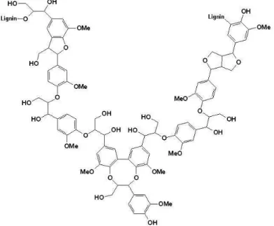 Gambar 4. Struktur molekul lignin  