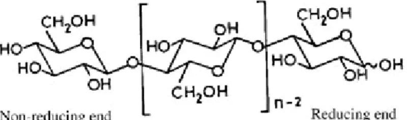 Gambar 2. Struktur kimia selulosa 