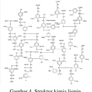 Gambar 4. Struktur kimia lignin 