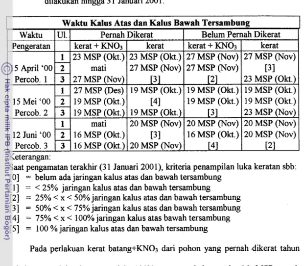 Tabel  15. Penyambungan luka  oleh jaringan  kalus  pada  rambutan  Binjai  yang  diperlakukan  pada  bulan  April,  Mei,  dan  Juni  2000,  pengamatan  dilakukan hingga 3 1 Januari 200 1