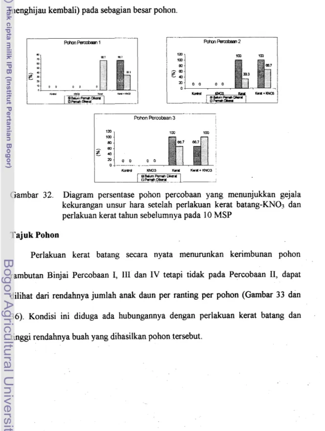 Gambar  32.  Diagram  persentase  pohon  percobaan  yang  menunjukkan  gejala  kekurangan  unsur  hara  setelah  perlakuan  kerat  batang-KNOs  dan  perlakuan kerat tahun sebelumnya pada  10 MSP 