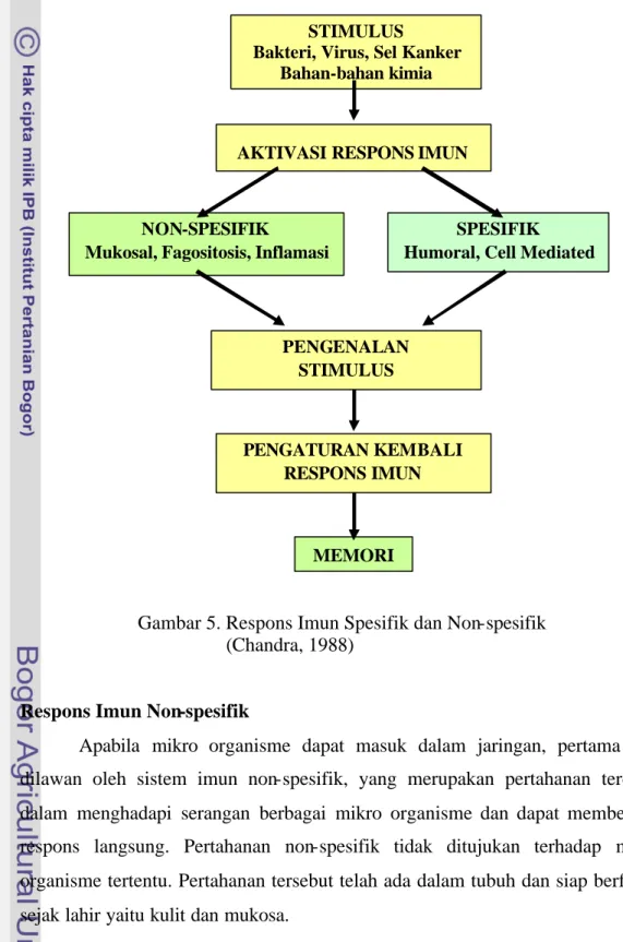 Gambar 5. Respons Imun Spesifik dan Non-spesifik                                 (Chandra, 1988) 