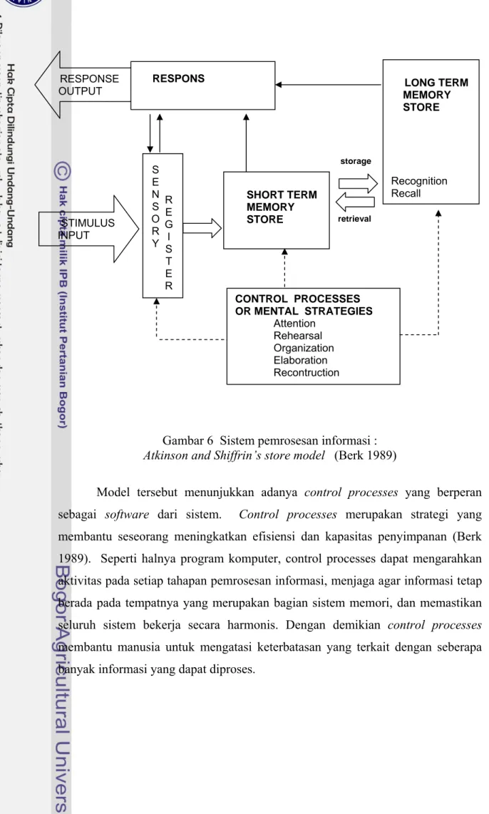 Gambar 6  Sistem pemrosesan informasi :  Atkinson and Shiffrin’s store model   (Berk 1989) 