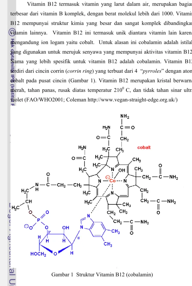 Gambar 1  Struktur Vitamin B12 (cobalamin) 