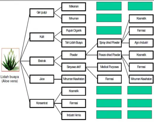 Gambar 8. Pohon industri tanaman lidah buaya (Aloevera) 