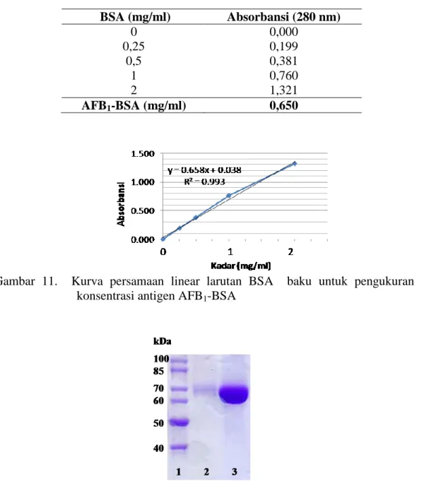 Tabel 3.  Hasil   pengukuran absorbansi BSA baku dan antigen AFB 1 -BSA   BSA (mg/ml)  Absorbansi (280 nm)  0  0,000  0,25  0,199  0,5  0,381  1  0,760  2  1,321  AFB 1 -BSA (mg/ml)   0,650 