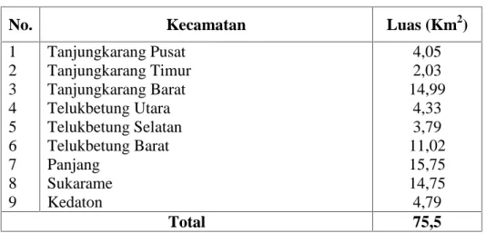 Tabel 5.  Luas Wilayah Kota Bandar Lampung
