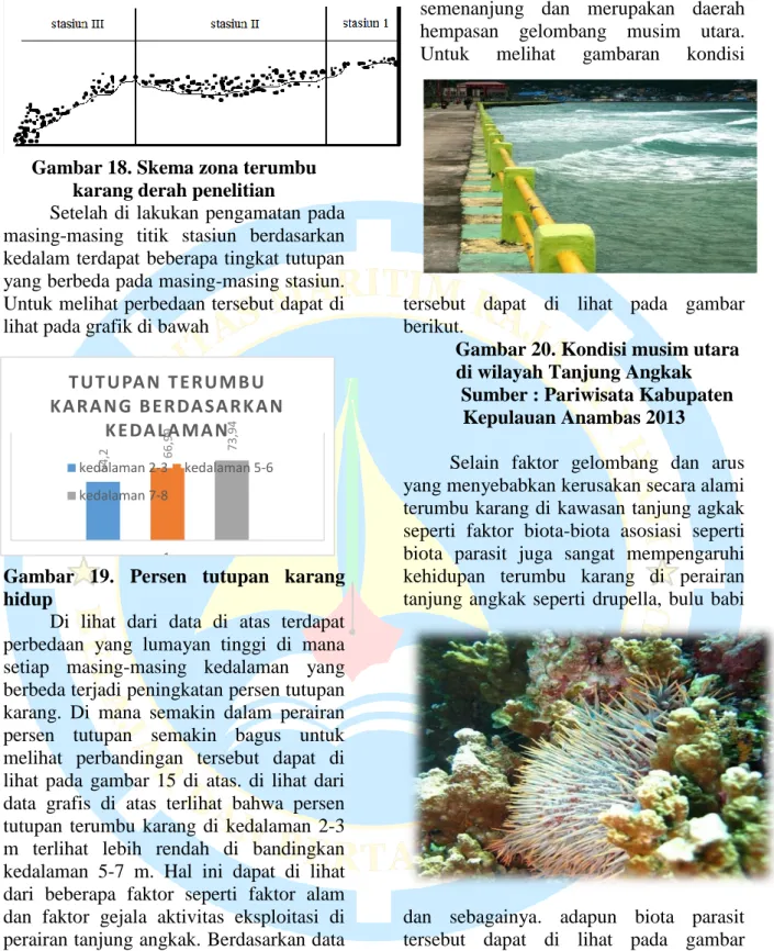 Gambar 18. Skema zona terumbu  karang derah penelitian 