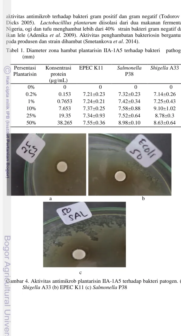 Tabel  1.  Diameter  zona  hambat  plantarisin  IIA-1A5  terhadap  bakteri      pathogen     (mm) 