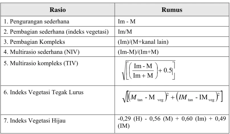 Tabel 2. Beberapa Rasio Indeks Vegetasi 