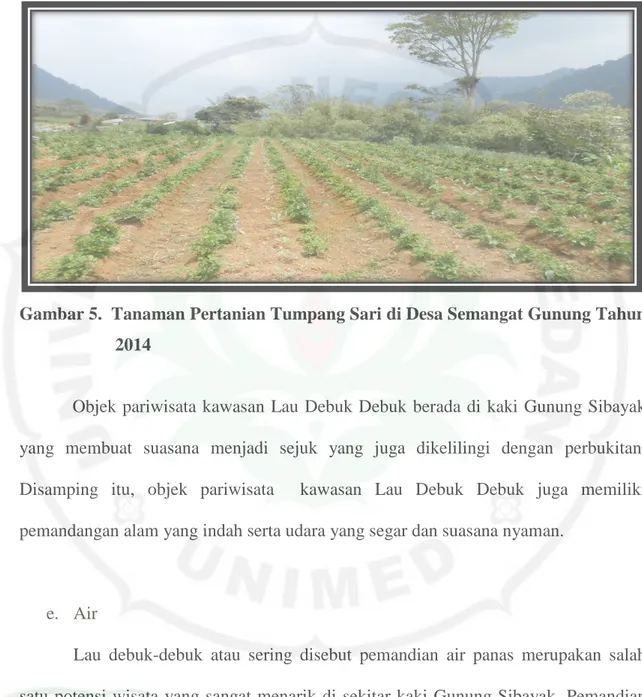 Gambar 5.  Tanaman Pertanian Tumpang Sari di Desa Semangat Gunung Tahun     2014 
