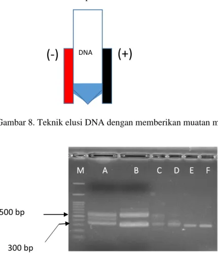 Gambar 8. Teknik elusi DNA dengan memberikan muatan magnetik.  