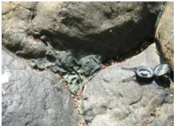 Gambar  2.  Batu  Jasper  berada  diantara  batuan beku-lava bantal Formasi Kumbang. 