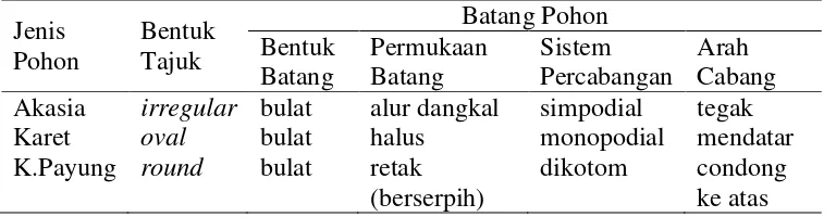 Tabel 4.  Identifikasi morfus daun pohon penelitian 