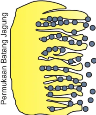 Gambar  2.1  menunjukkan  adsorbat  berinteraksi  dengan  permukaan  pada  poros- poros-poros adsorben