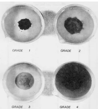 Gambar 1. Tingkat dispersivitas pada uji crumb (Acciardi, 1985) 